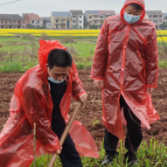 攸县：植树添新绿 不负好春光