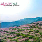 炎陵线上桃花旅游节启动 1500多万名观众“云赏花”