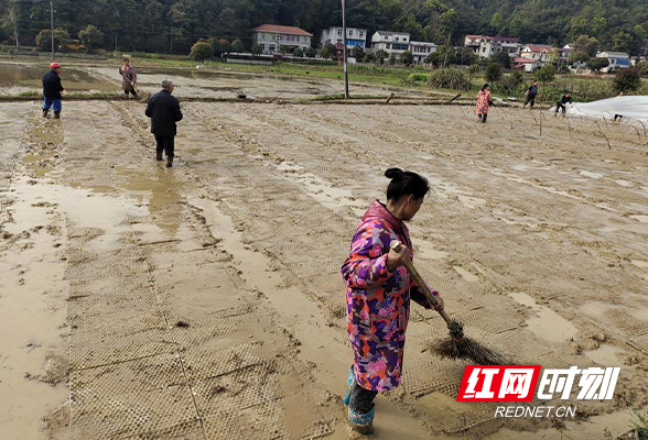 荷塘区仙庾镇:抢抓春耕好时节