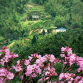 株洲文旅节庆活动来袭 邀您纵享“五一”小长假