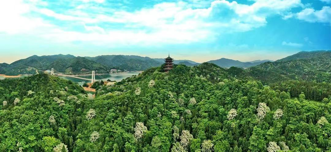微信图片_20220424162405.png