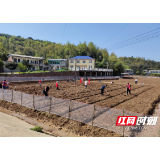 荷塘区：抢抓农时好春光 党群干群齐下田