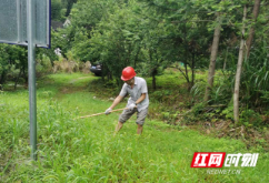 炎陵县水口镇：清理杂草 为水库“强身健体”