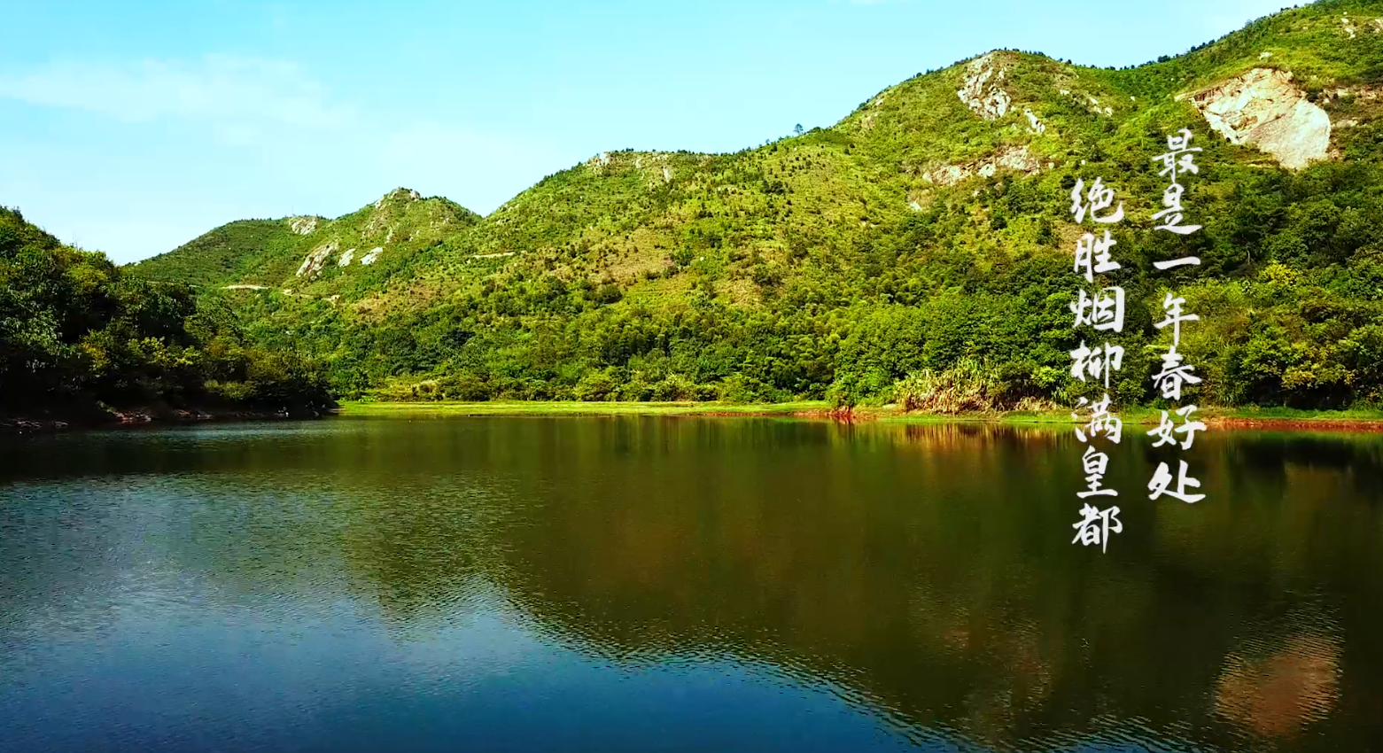 视频丨九郎山森林公园让你沉醉在苍翠欲滴中