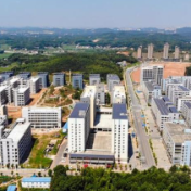 “白关丝瓜”获省级道地名优食材银奖