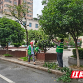  攸县：加强夏季园林管护 提升城市绿化品质