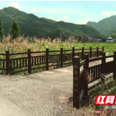 攸县：加装桥梁护栏 为群众出行系上“安全带”