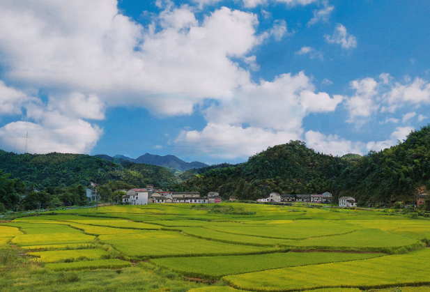 株洲4个村（社区）入选 第九批全国民主法治示范村（社区）