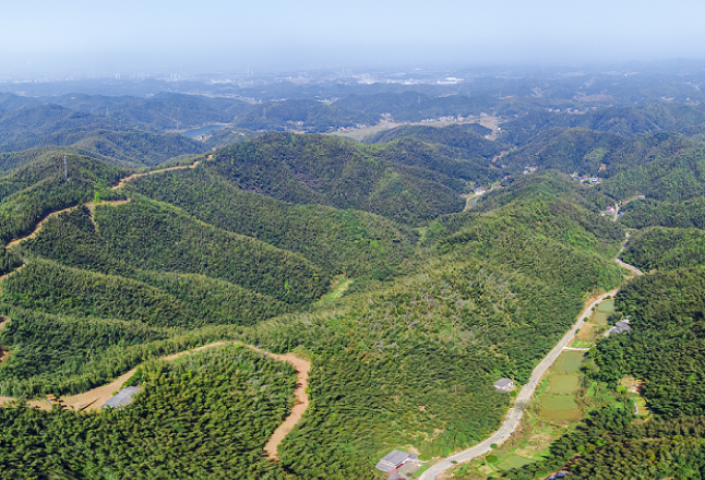 荷塘区仙庾镇兴塘村获评市级文明乡村