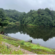 荷塘区金山街道积极推进幸福河湖建设