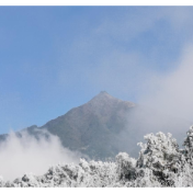 炎陵县下村乡：冬月迎寒气 落雪有痕