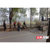 荷塘区仙庾镇：人居环境整治 共建美丽乡村