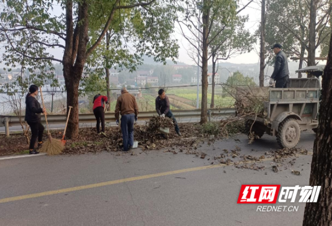 荷塘区仙庾镇：人居环境整治 共建美丽乡村