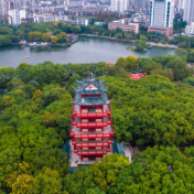 生物医药与大健康产业 发展势头良好