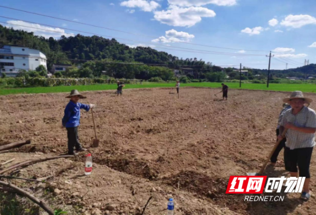 荷塘区宋家桥街道真抓实干全面推进乡村振兴