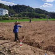 荷塘区宋家桥街道真抓实干全面推进乡村振兴