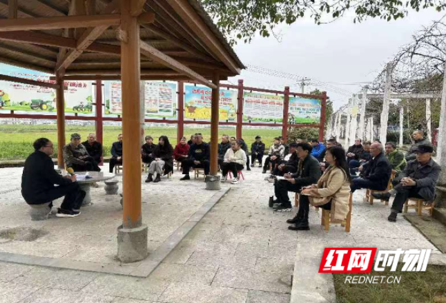 炎陵县霞阳镇：打好学习“组合拳”  助推党员冬春训走心走实