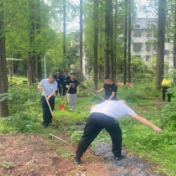 荷塘区宋家桥街道开展违规种菜和饲养整治行动