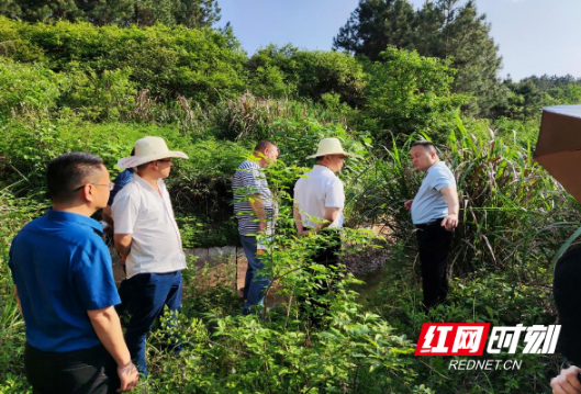 攸县宁家坪镇：用好调研法宝 保障农业生产