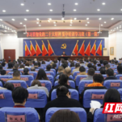 荷塘区：以学促干筑根基 实干笃行强质效