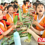 银海学校：弘扬传统文化 品位浓情粽香