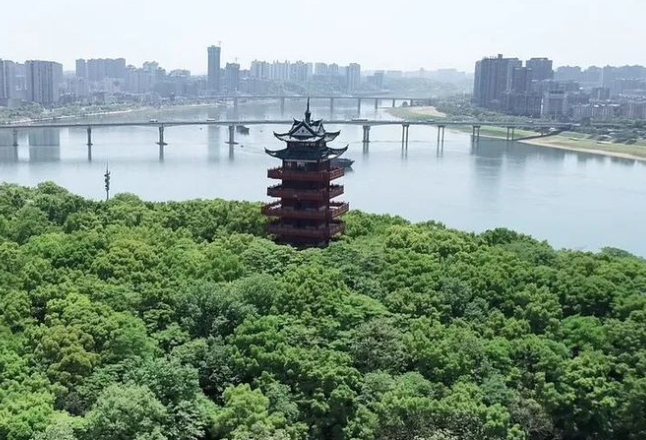 陈恢清调度防汛抗灾工作