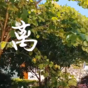 视频丨天元小学：栀子花开的盛夏 我们毕业啦