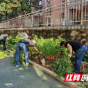 变“堵”为“疏” 荷塘区多举措提升市容环境