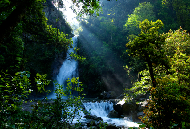 即日起至2月24日 神农谷国家森林公园对东北三省游客免门票