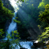 即日起至2月24日 神农谷国家森林公园对东北三省游客免门票