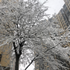 低温雨雪冰冻来袭 民政部门温暖出招