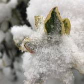 陈恢清：做好万全准备 积极主动应对雨雪冰冻天气