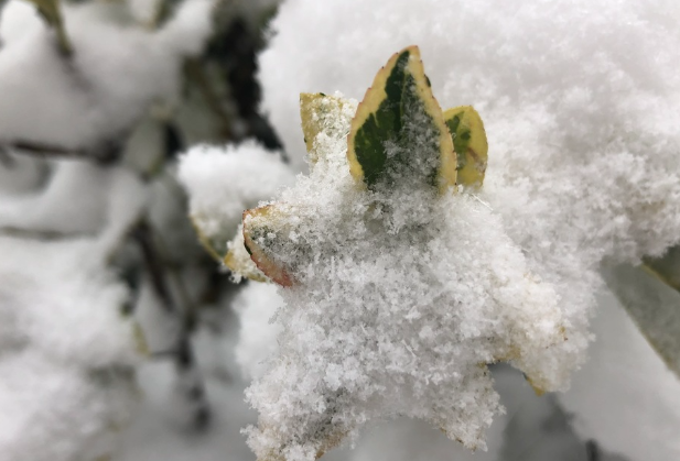 陈恢清：做好万全准备 积极主动应对雨雪冰冻天气