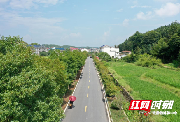 攸县成功创建2023年“四好农村路” 省级示范县