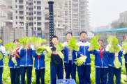 天元区隆兴中学：学生采摘蔬菜 体验劳动乐趣