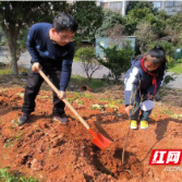 莲塘小学开展“我在莲塘有棵树”主题植树节活动