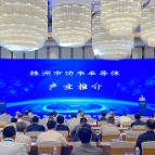 湖南：强化制造优势 全面发力功率半导体产业