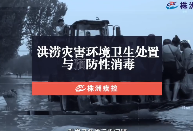 健康科普丨洪涝灾害后 如何做好个人居家环境与物品预防性消毒？