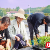 电视剧《辣妹子辣》编导组赴渌口区调研采风