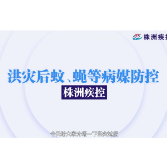 科普视频丨洪灾后 如何做好蚊、蝇等病媒防控