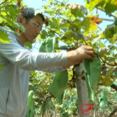 攸县：激励青年人才返乡创业 为乡村振兴注入青春力量