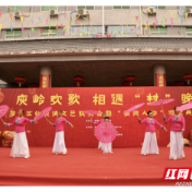 荷塘区仙庾镇举行相遇“村”晚系列颁奖活动