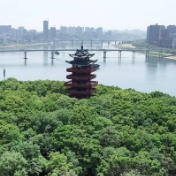 2025年株洲春节文明祭祀倡议书