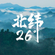 视频丨攸县油茶八百年