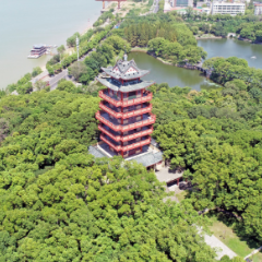 湖南汽车工程职业大学金牌双创教师团队:破茧成蝶创佳绩 匠心育人显担当