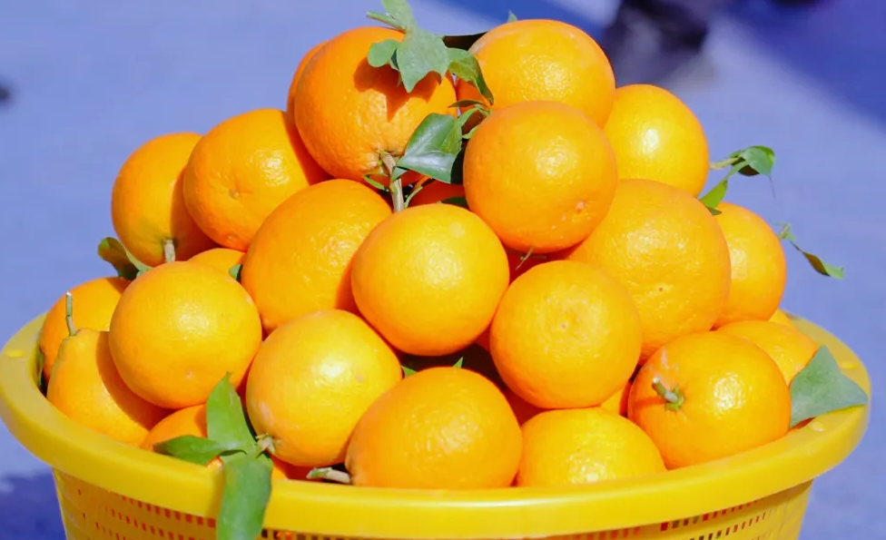 QQ20251129-131757.png QQ20251129-131757.png