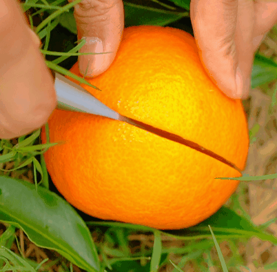 640 (1).gif 640 (1).gif