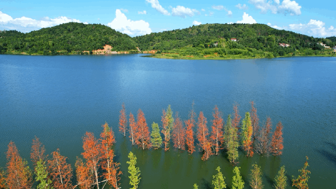 640 (3).gif 640 (3).gif