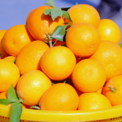 11月29日渌口区不停水！走，周末到渌口耍去喽