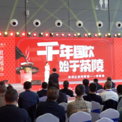 农博“镀金”，产业“造血” 茶陵特色农产品撑起乡村振兴“致富伞”